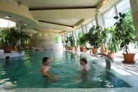 Residence Hotel Balaton Special Wellness Hotel In Siófok - 